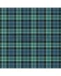 Arbuthnott Ancient Tartan Kilt, Green color for Male