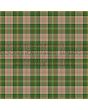 Arizona Premium Tartan Kilt, Green color for Male