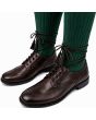 Brown Ghillie Brogue Kilt Shoes, Brown color for Male