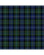 Clan Clergy of Ulva Premium Tartan Kilt, Green color for Male