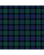 Clan Coarse Kilt Modern Premium Tartan Kilt, Green color for Male