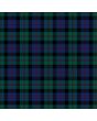 Clan Common Kilt Premium Tartan Kilt, Green color for Male